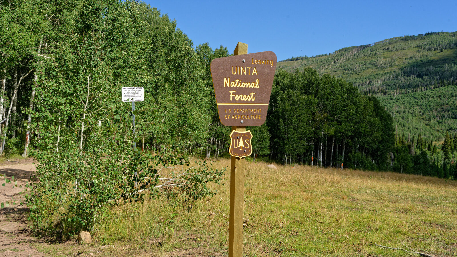 Waypoint 4