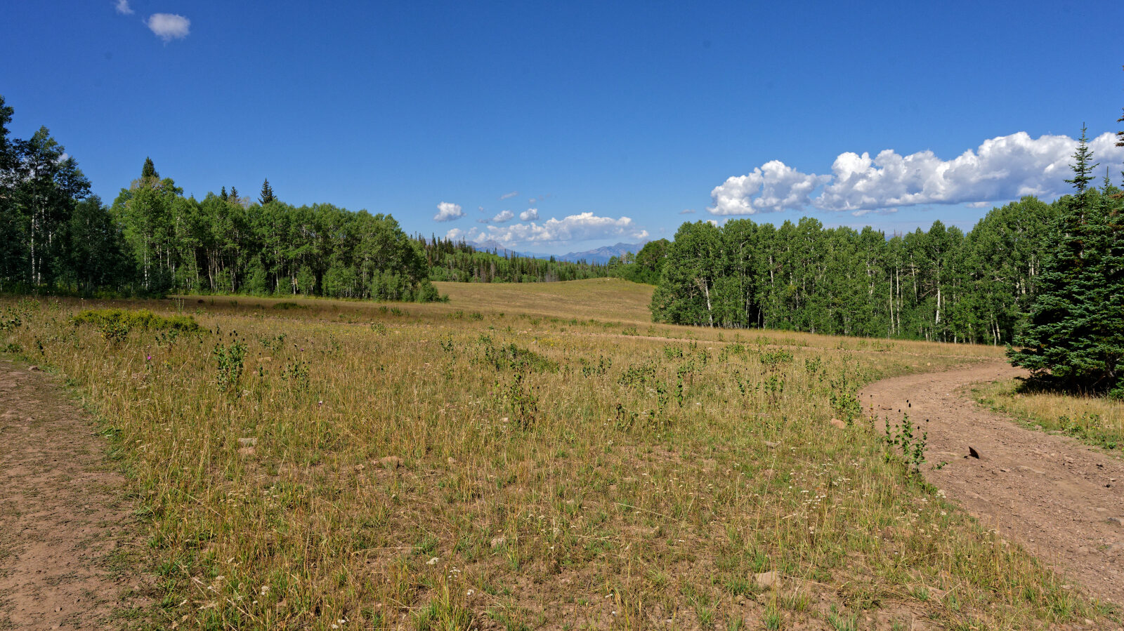 Waypoint 6