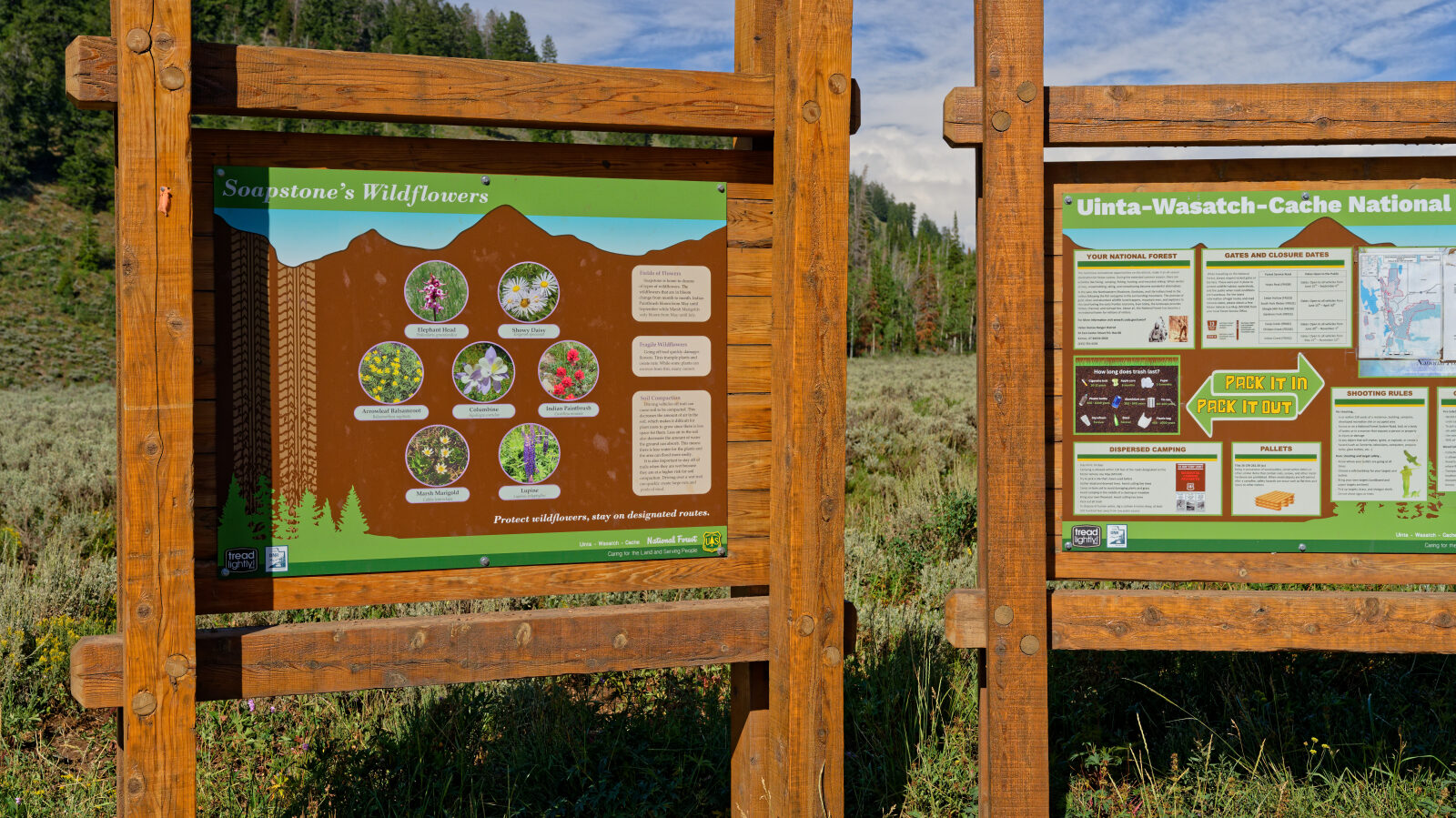Waypoint 2