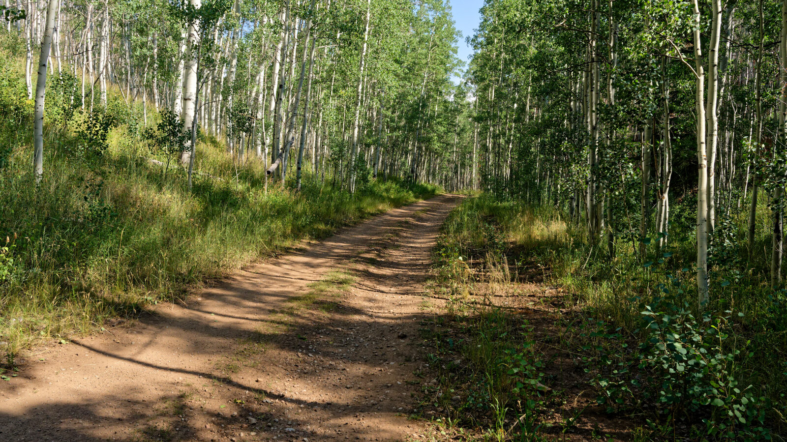 Waypoint 3