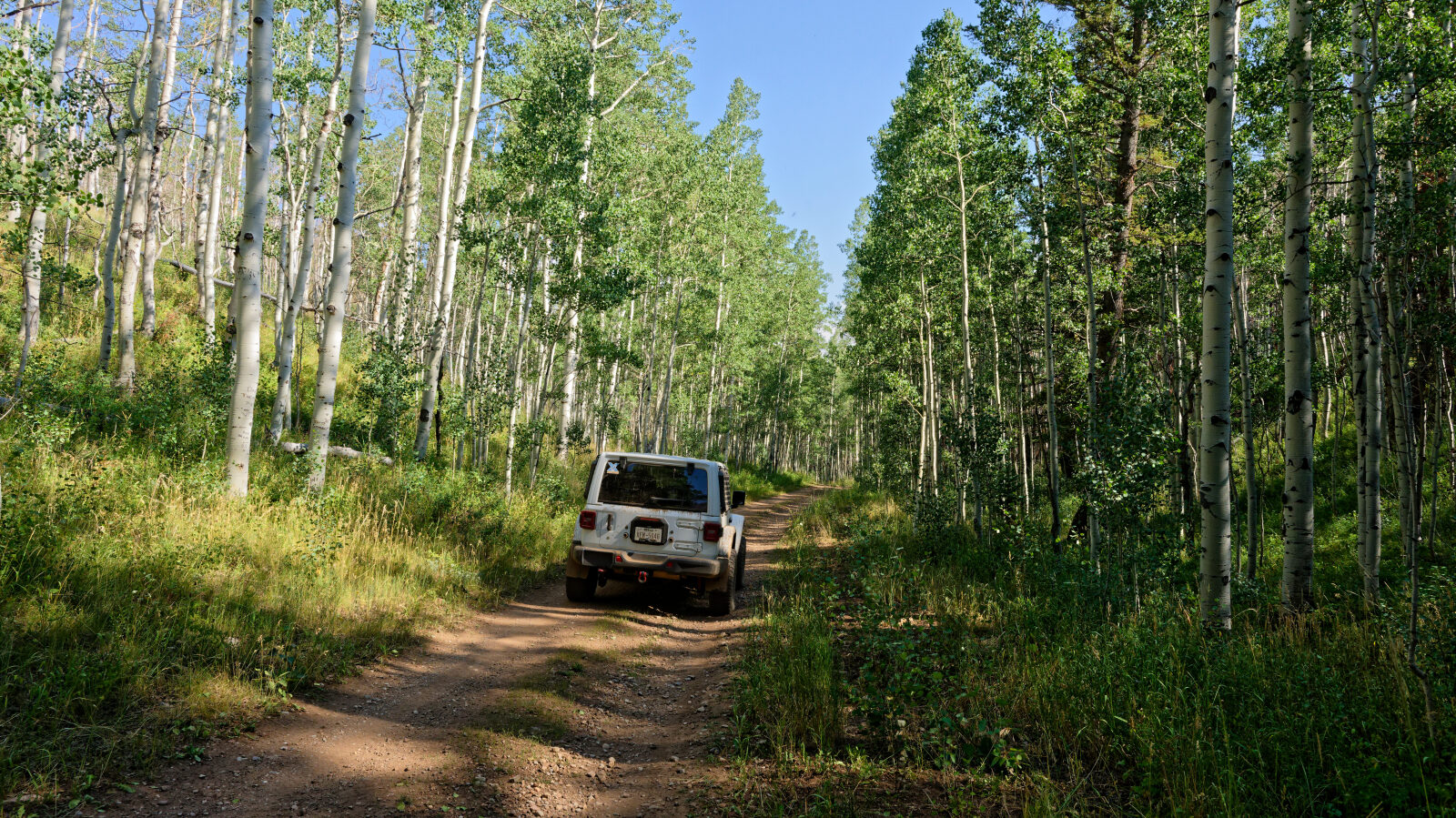 Waypoint 3
