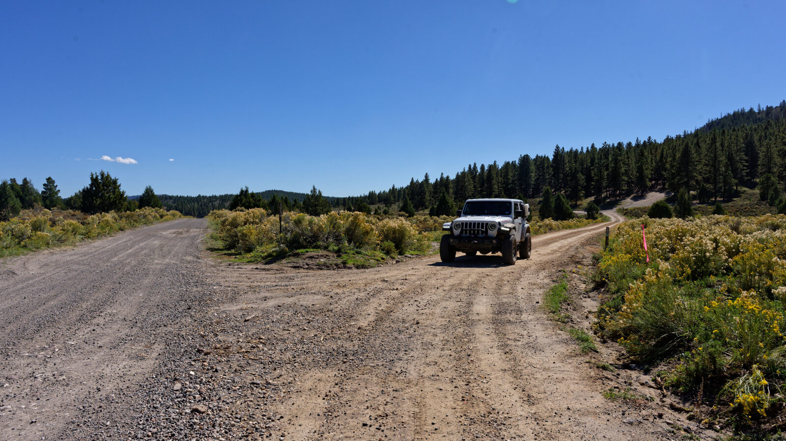 End of the trail.