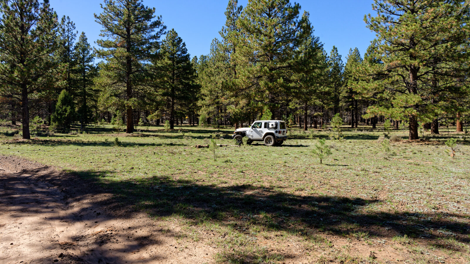 Shaded camping in the trees with a little privacy. Room for about six rigs.