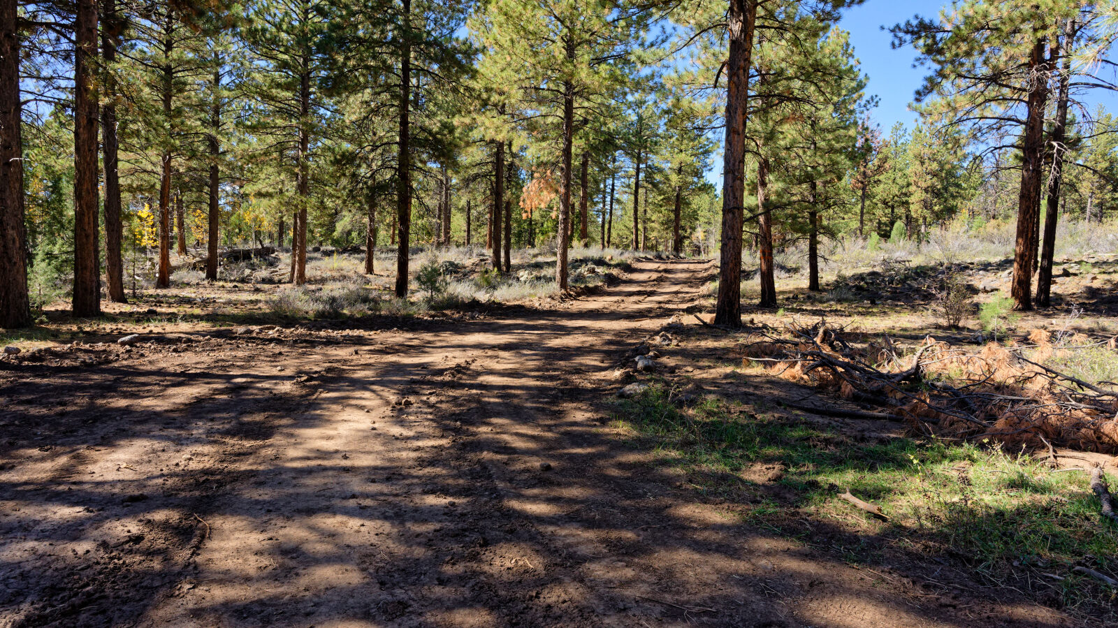 Waypoint 5
