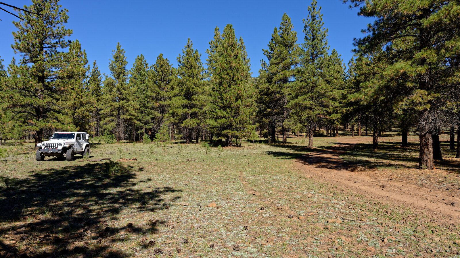 Shaded camping in the trees with a little privacy. Room for about six rigs.