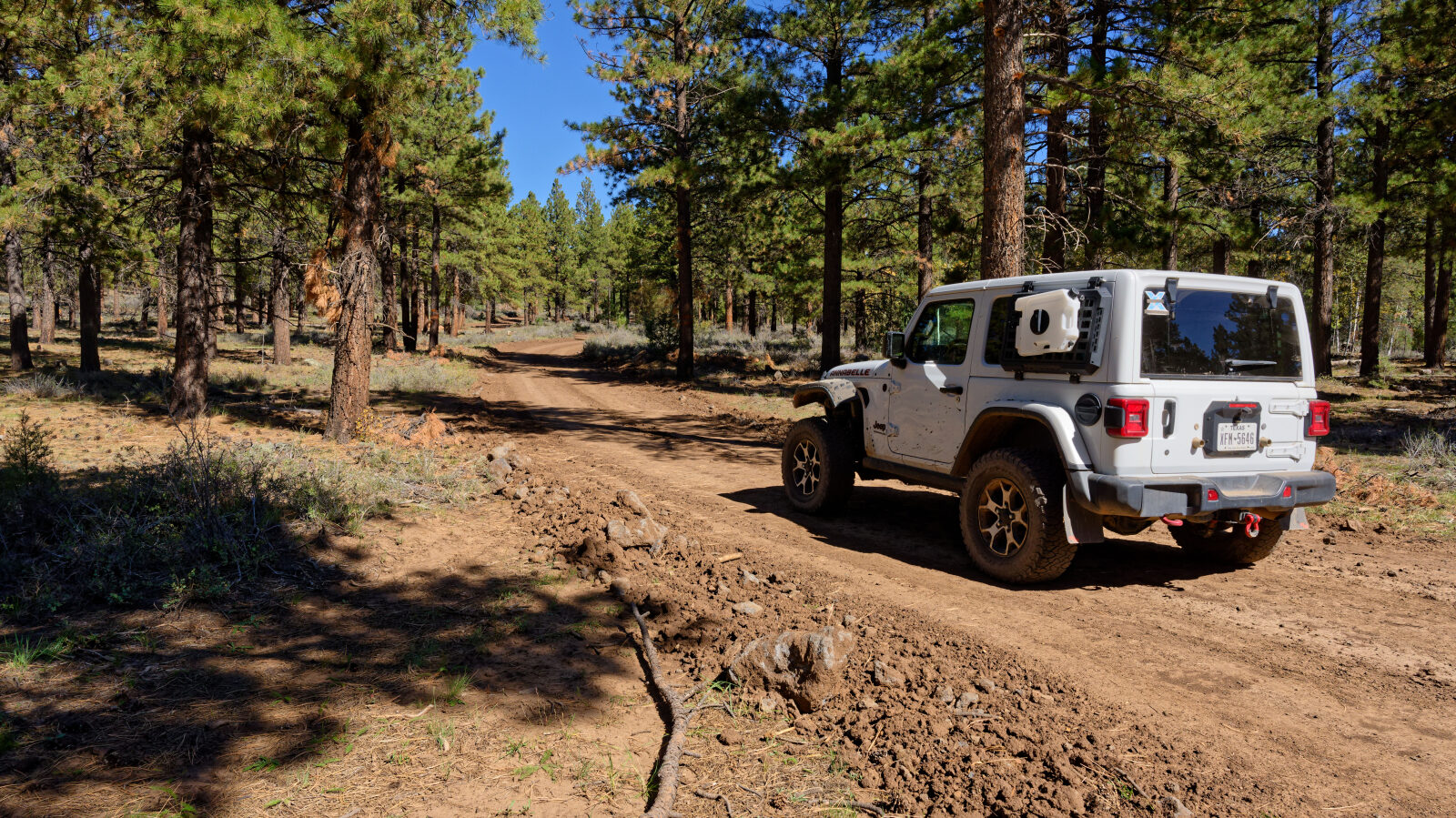 Waypoint 5