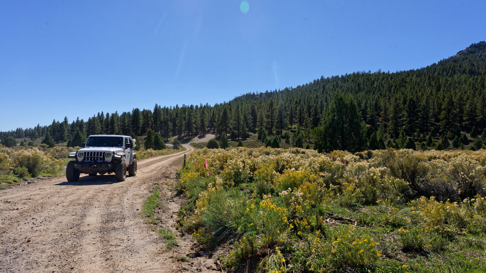 End of the trail.