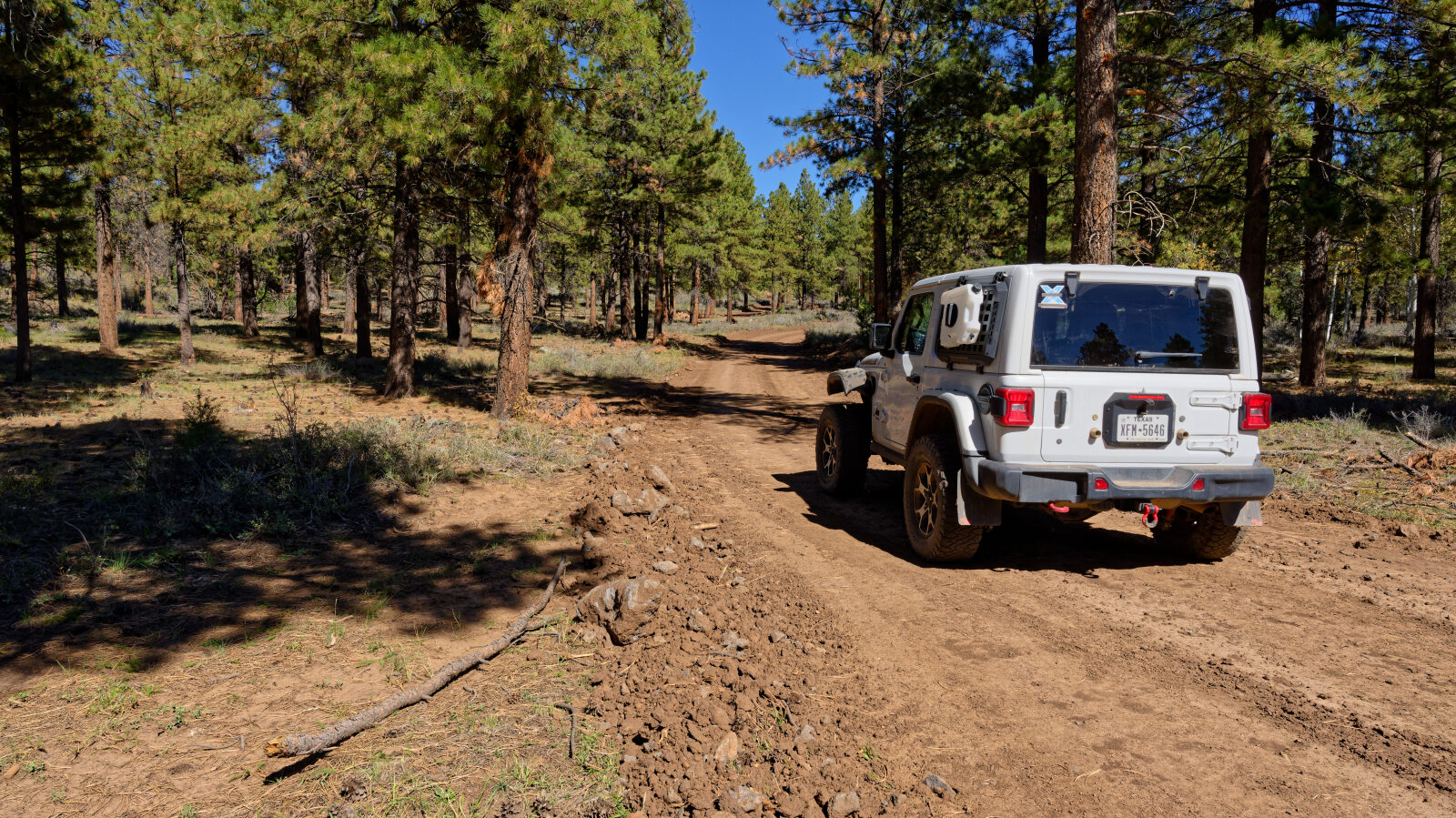 Waypoint 5