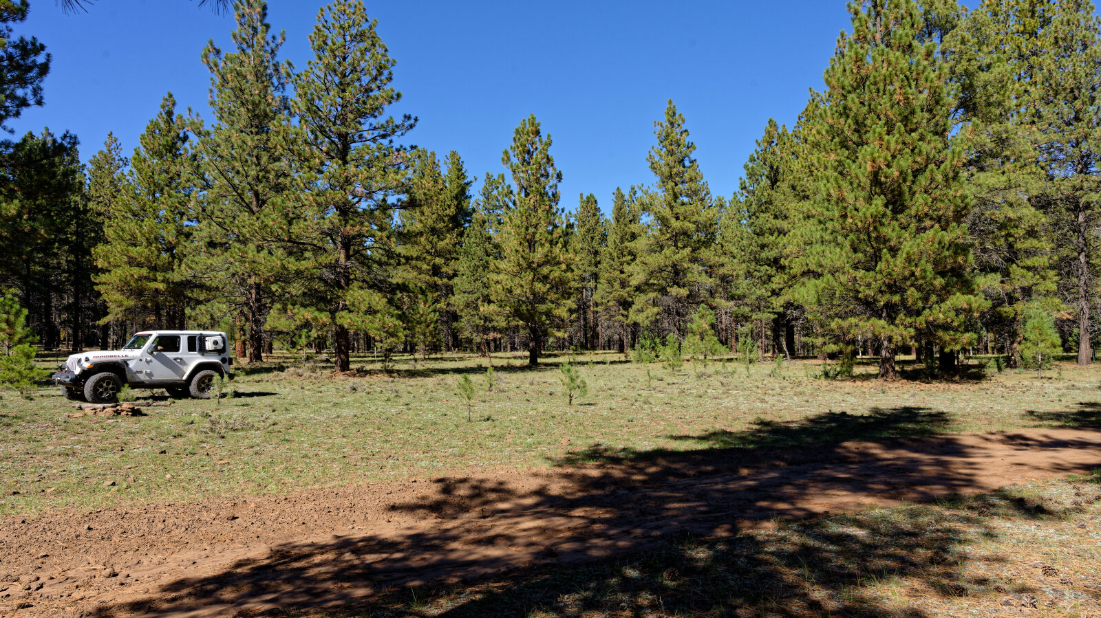 Shaded camping in the trees with a little privacy. Room for about six rigs.