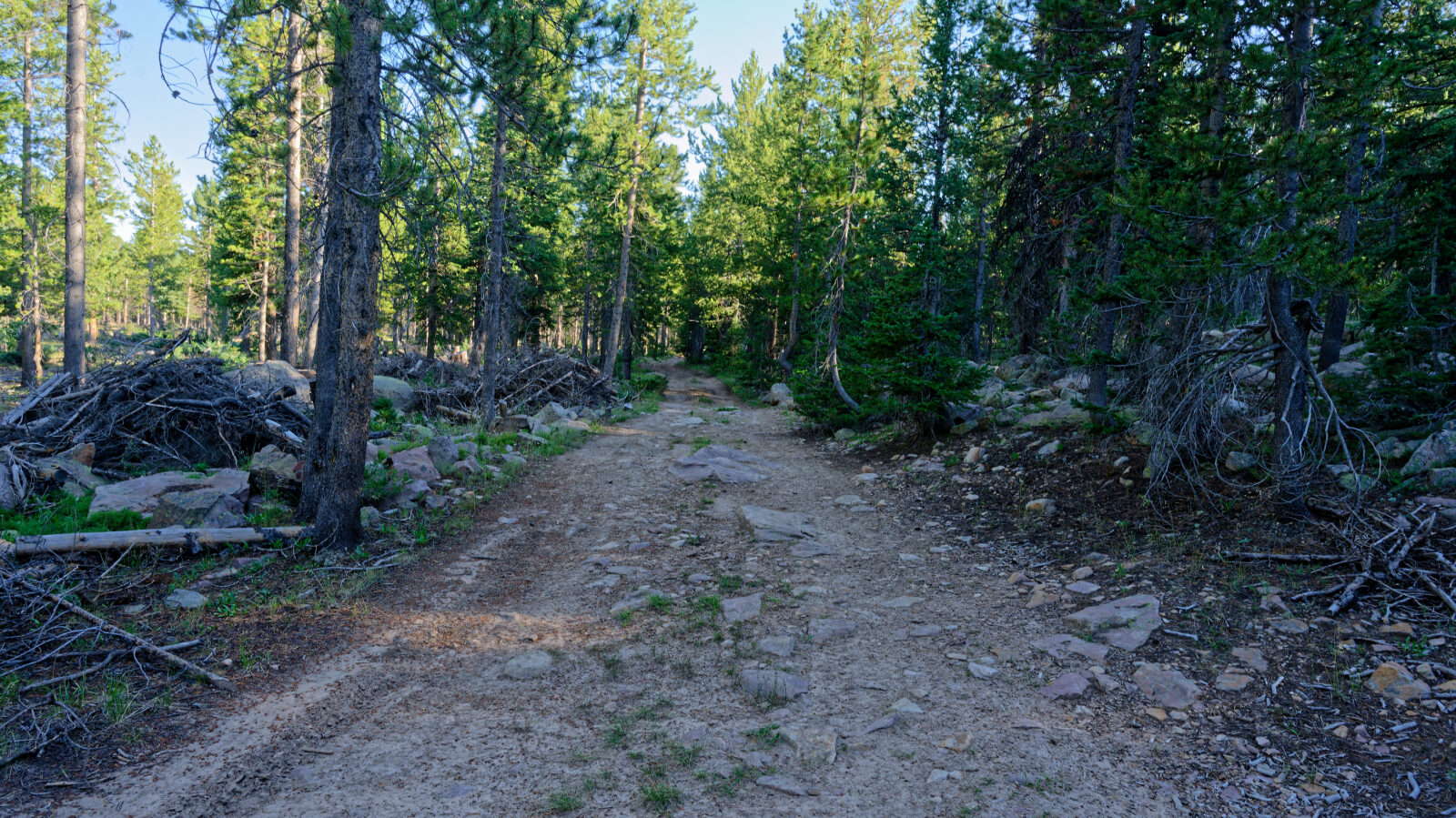 Waypoint 4