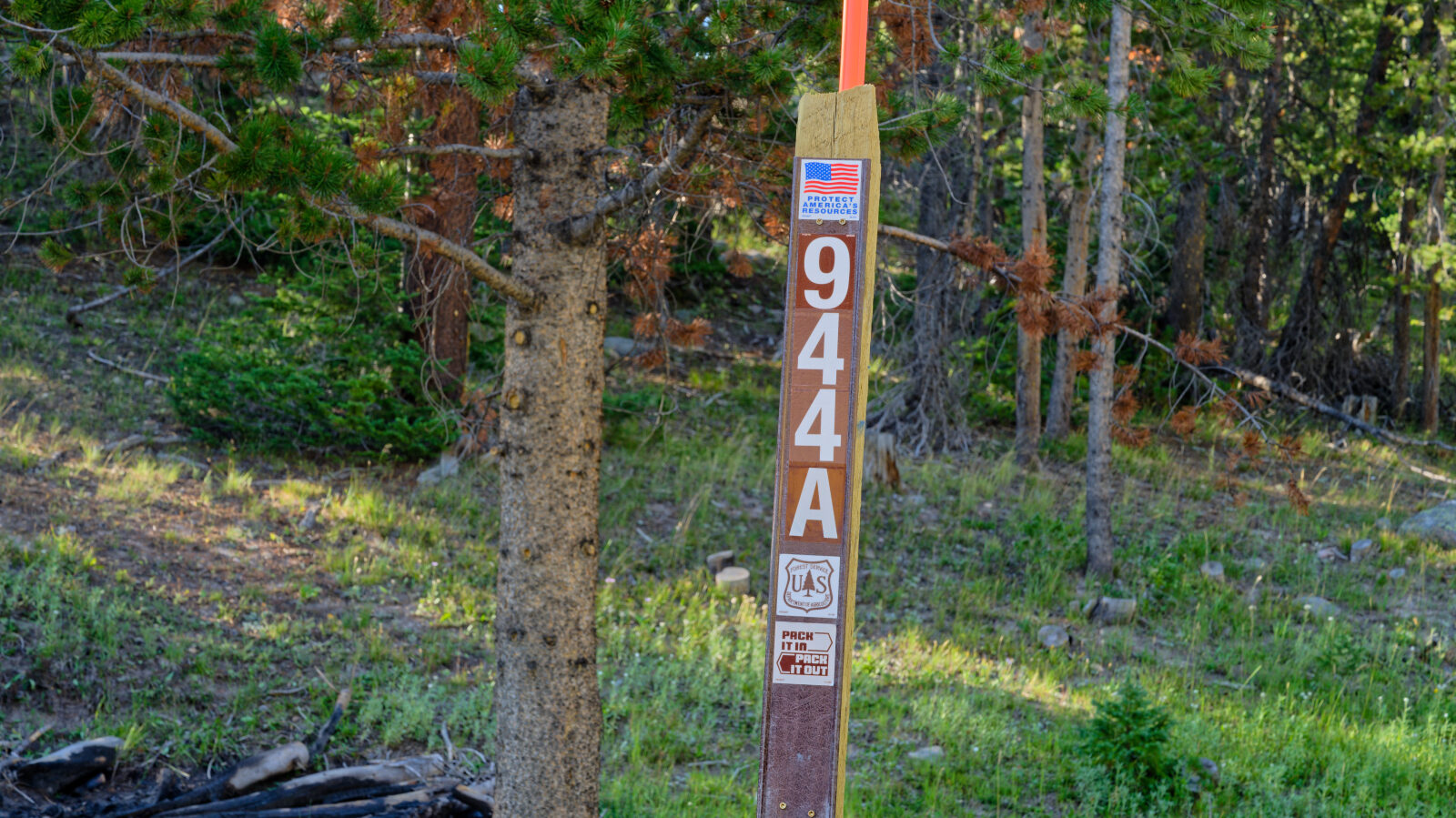 Waypoint 1