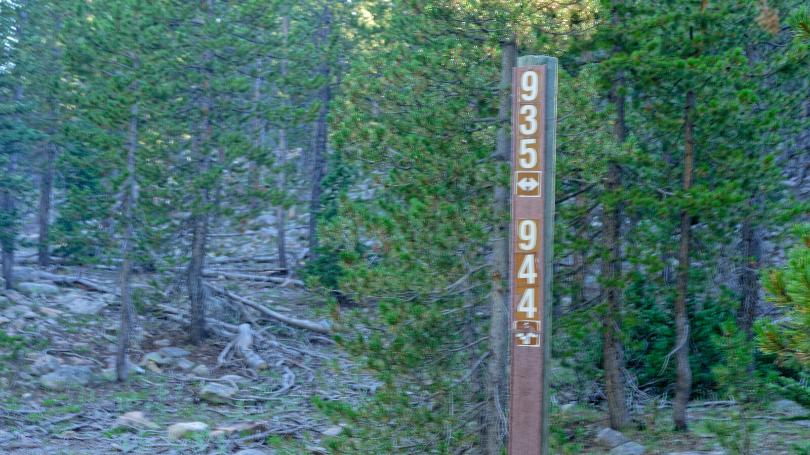 Waypoint 4