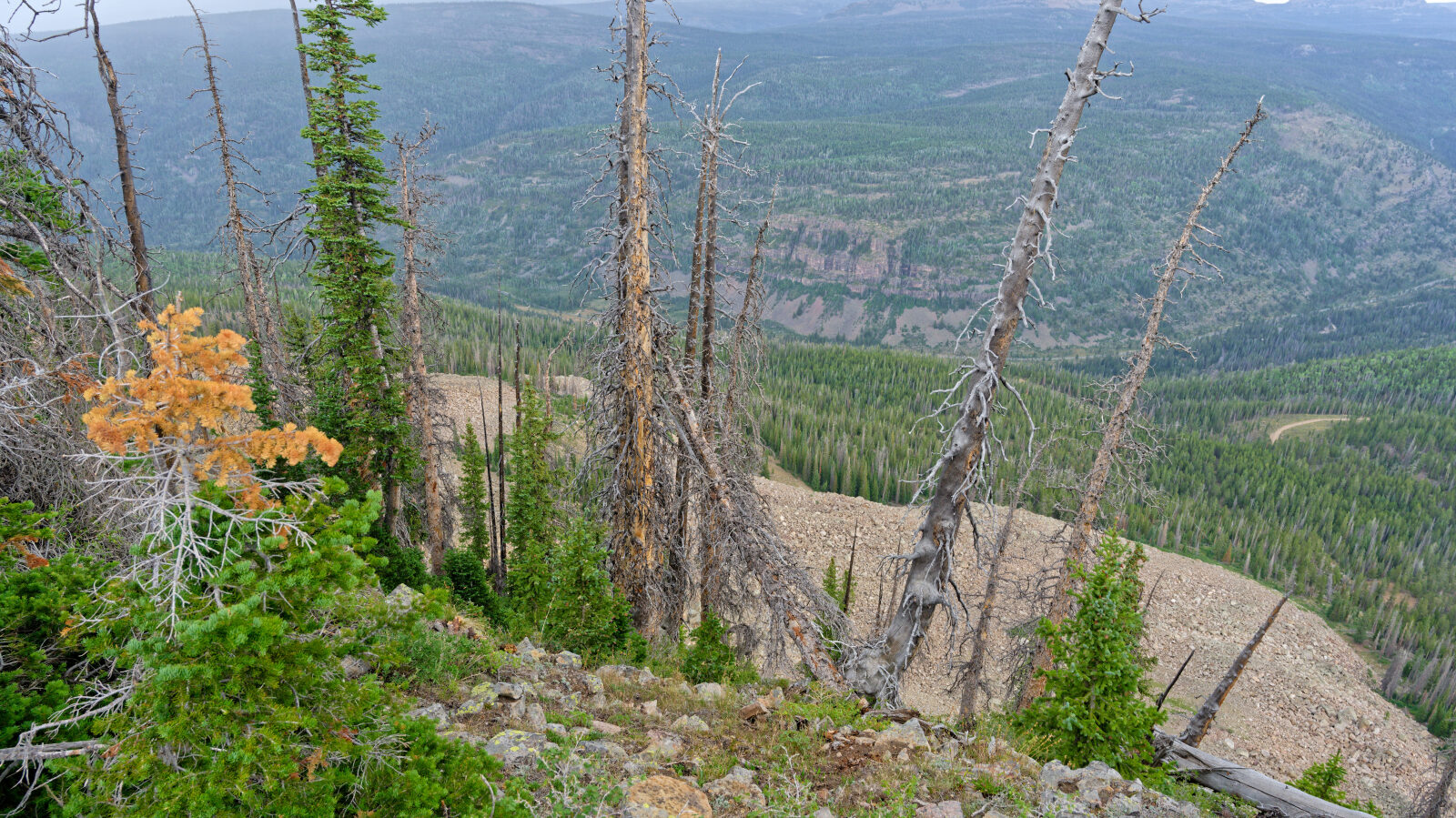 Waypoint 4