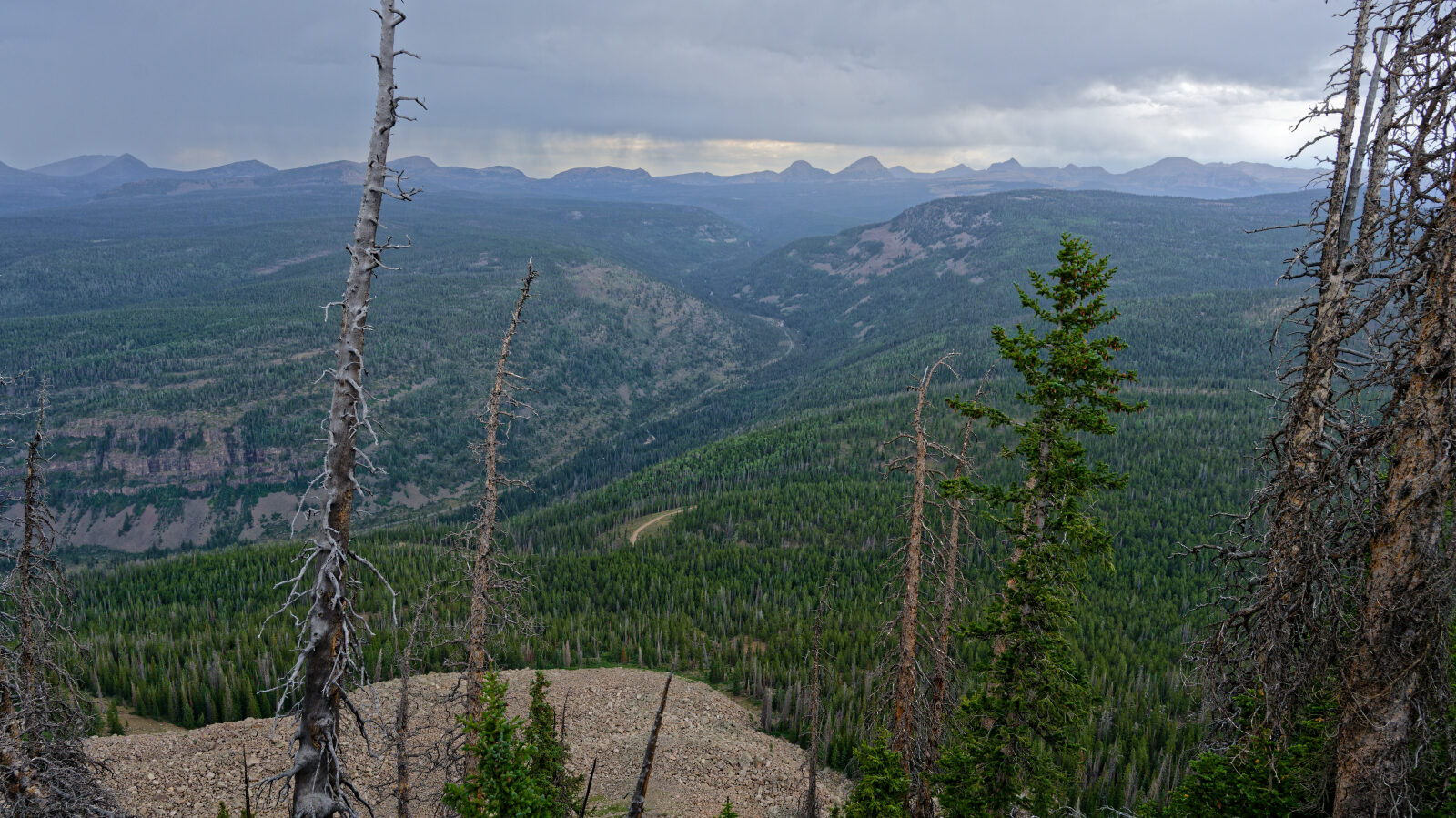 Waypoint 4