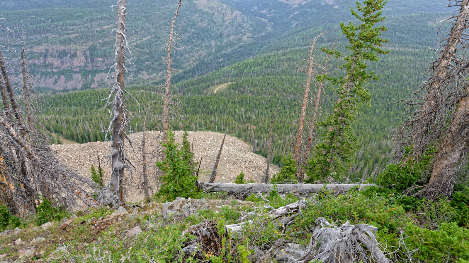 Waypoint 4