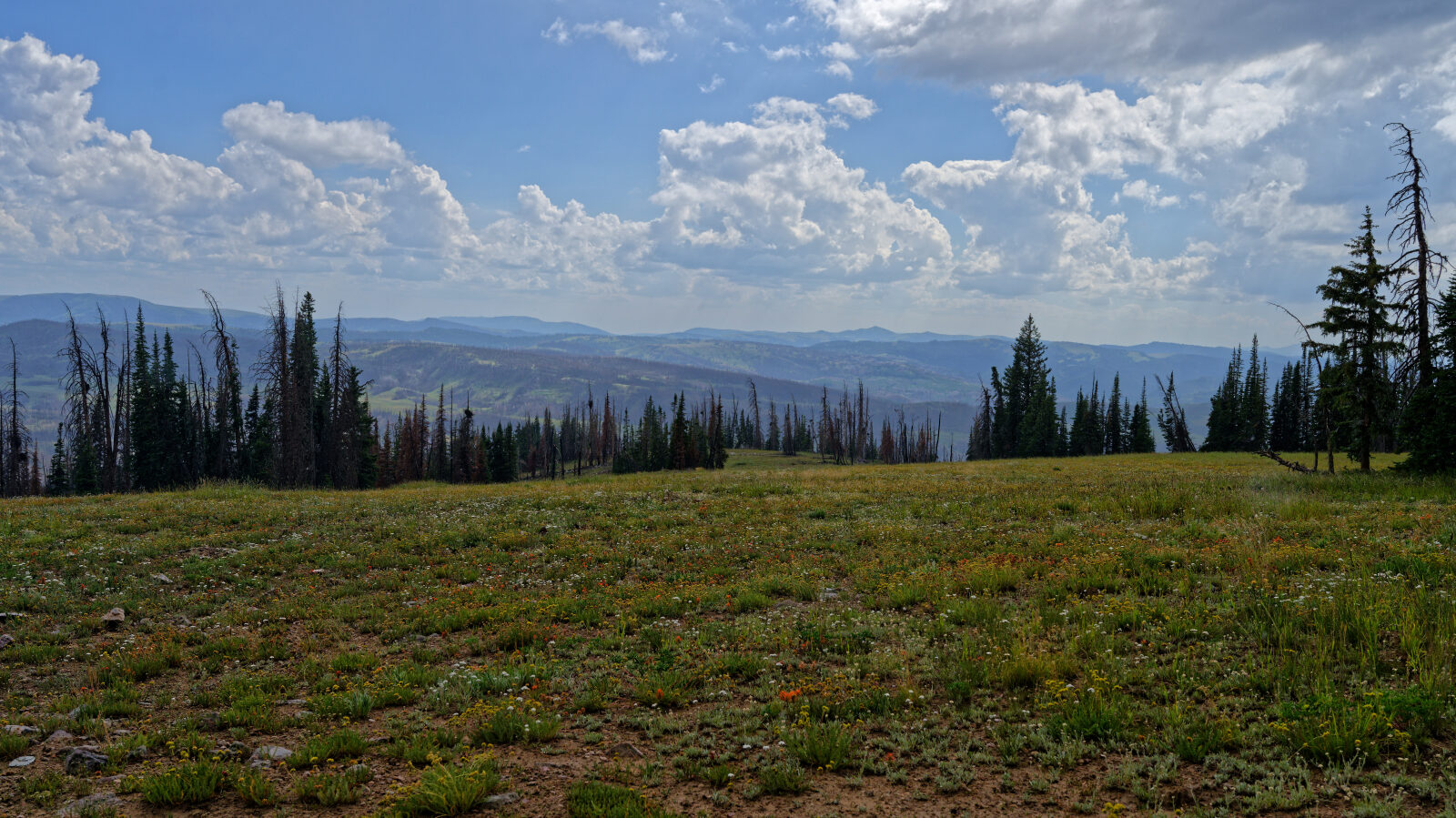 Waypoint 5