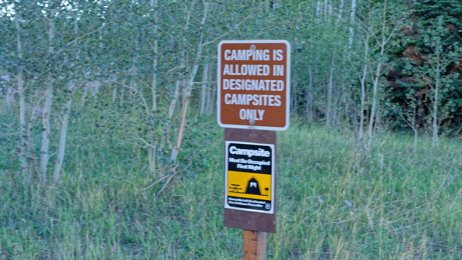 Waypoint 8