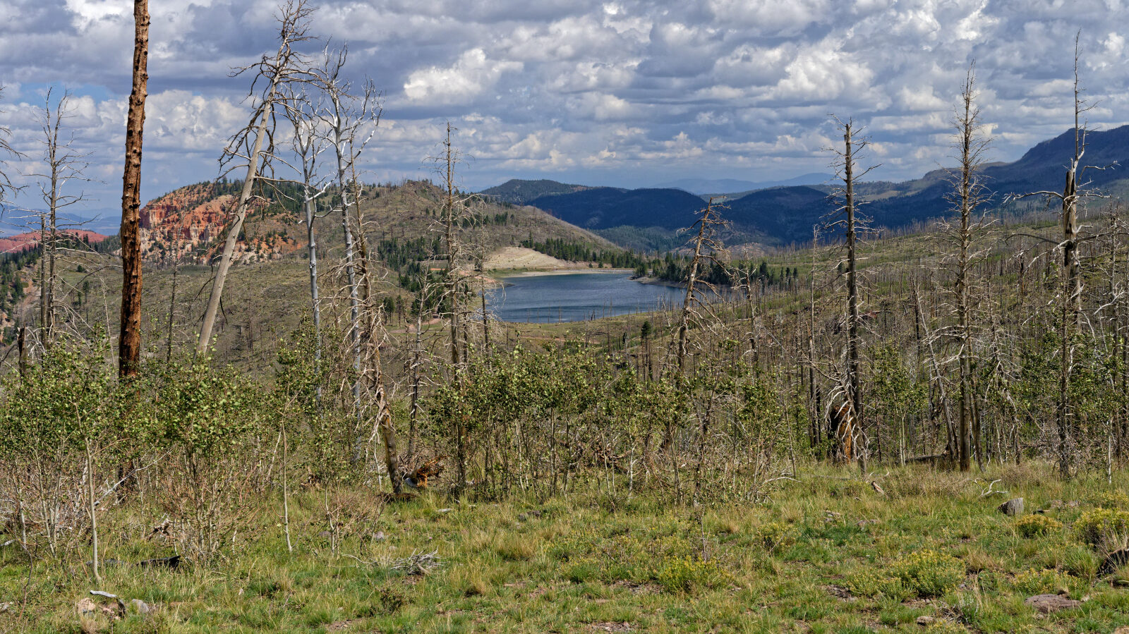 Waypoint 2