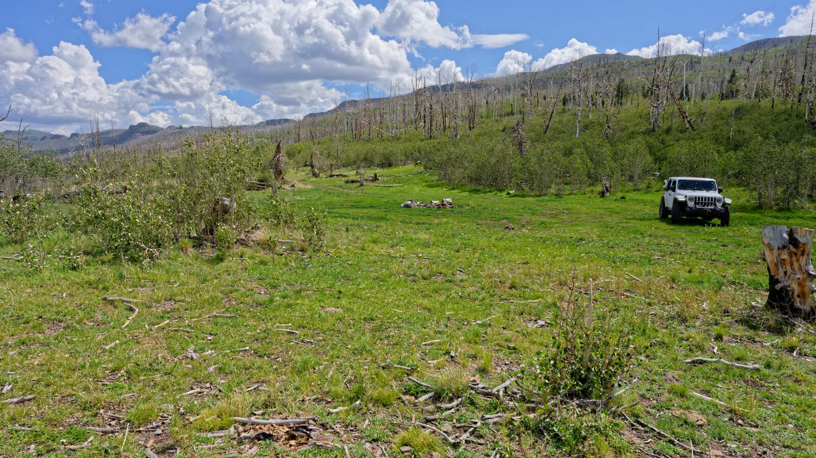Camping spot that holds two or three smaller rigs. Not shaded and slightly private. Unknown whether a big trailer will fit.
