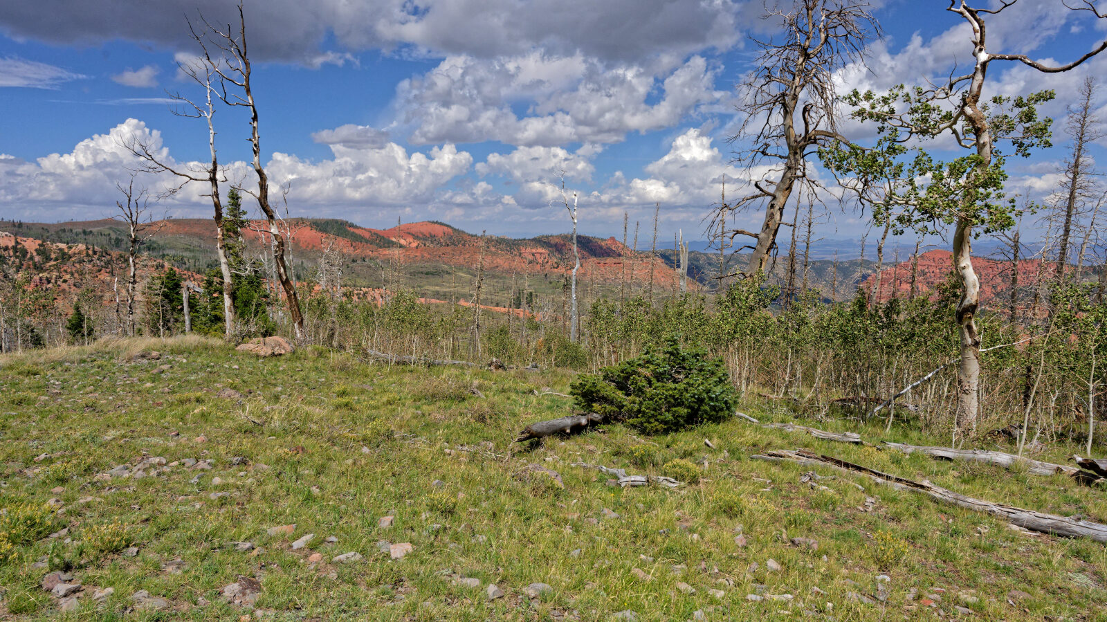 Waypoint 2