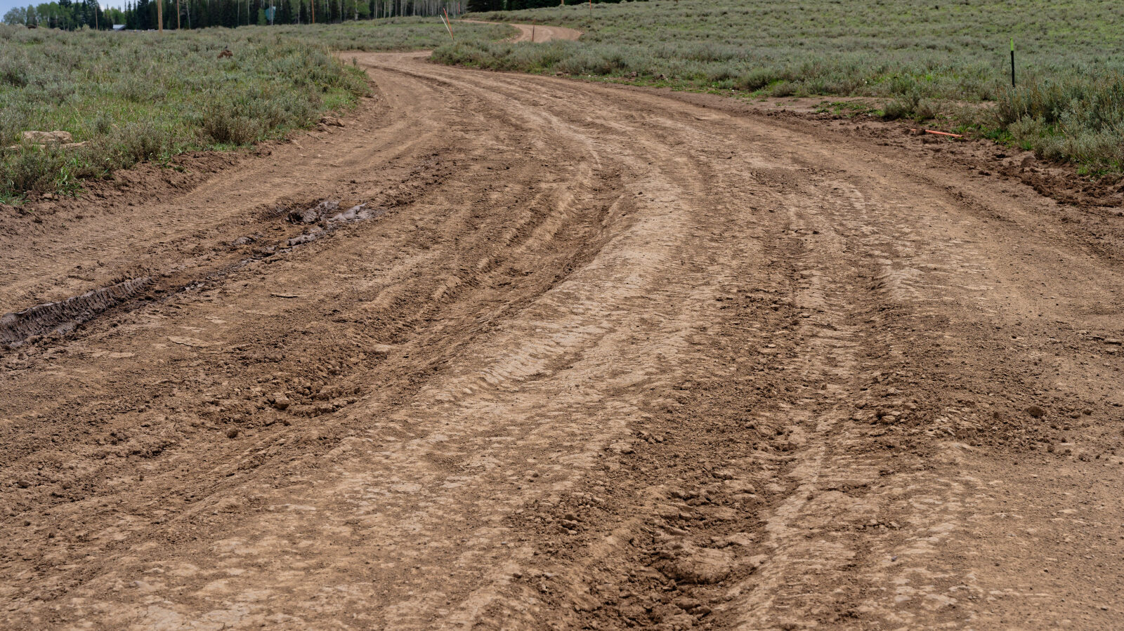 This may be the hardest part of the trail because of the ruts. It would be harder to get through if muddy.