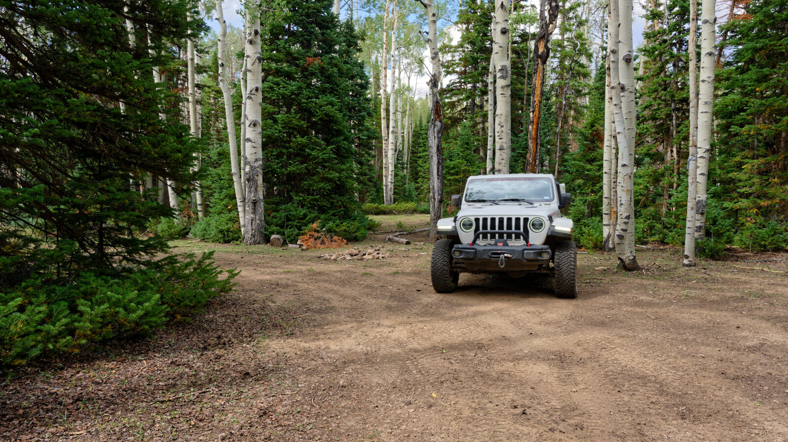 A spur here has three camping spots. They are tight, hold only one small rig, and are private and shaded.