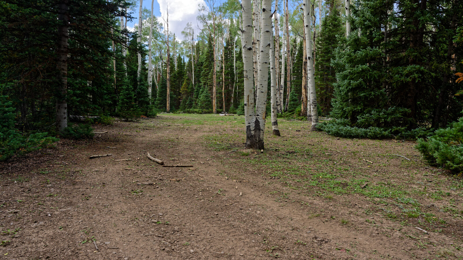 A spur here has three camping spots. They are tight, hold only one small rig, and are private and shaded.