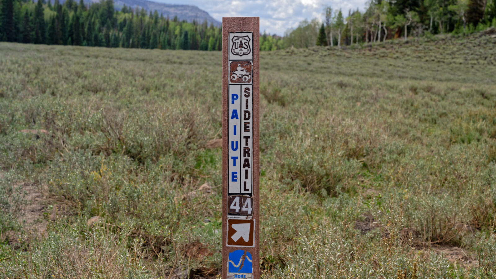 This is Paiute Side Trail number 44.