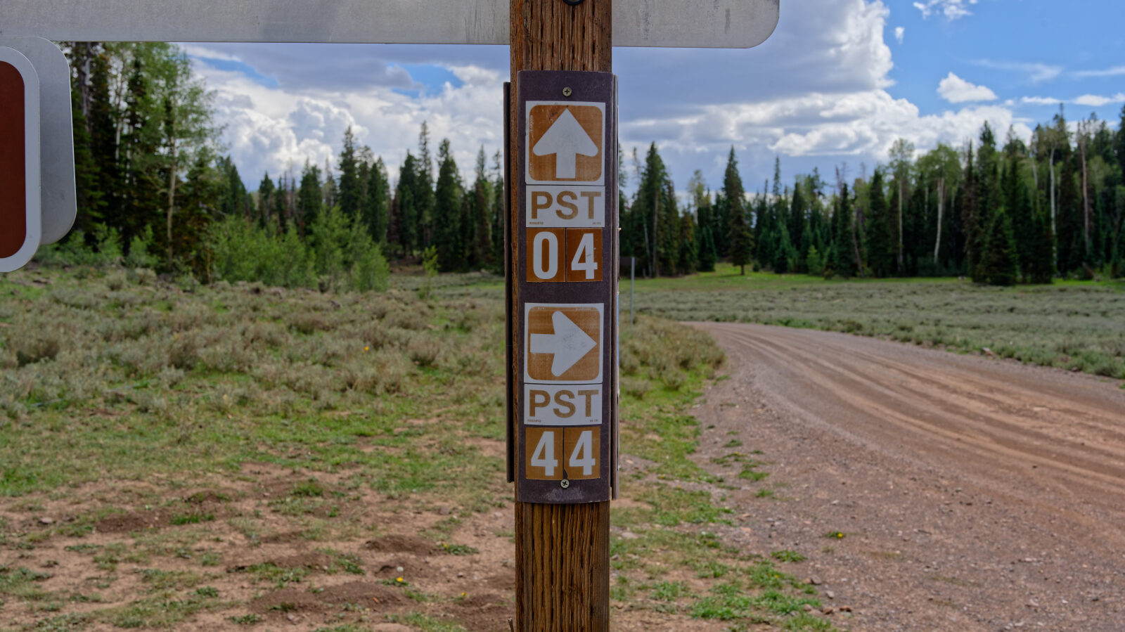 This is Paiute Side Trail number 44.