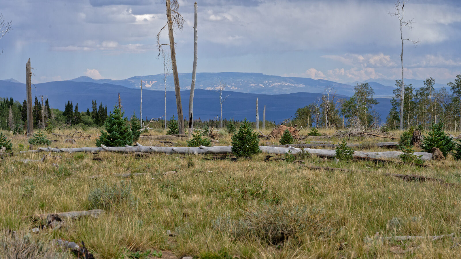 Waypoint 7