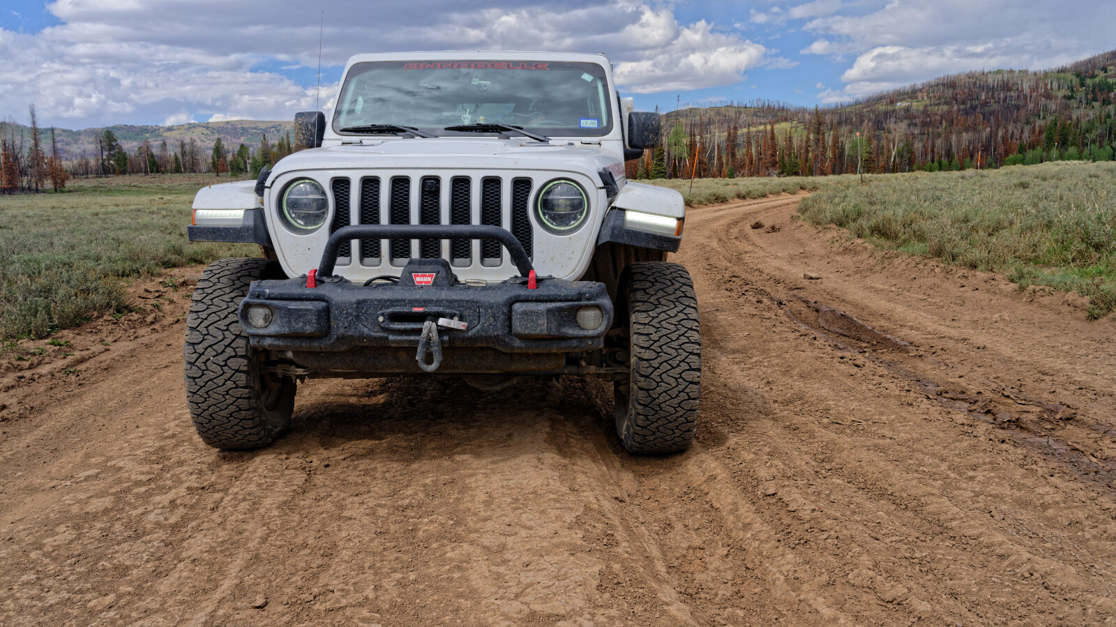 This may be the hardest part of the trail because of the ruts. It would be harder to get through if muddy.