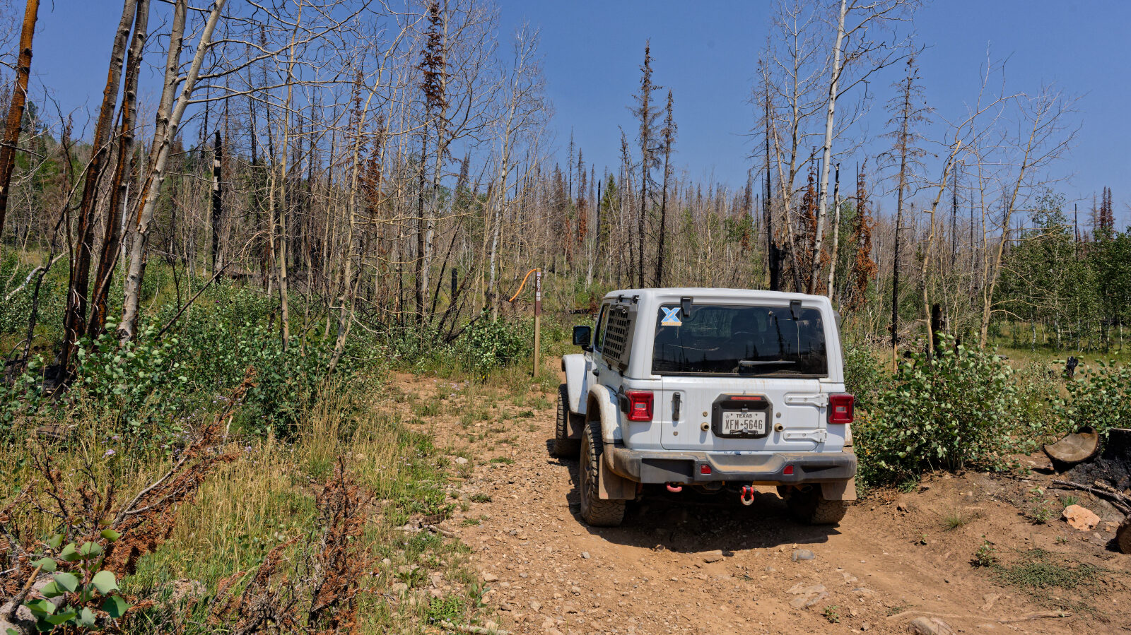 Waypoint 1
