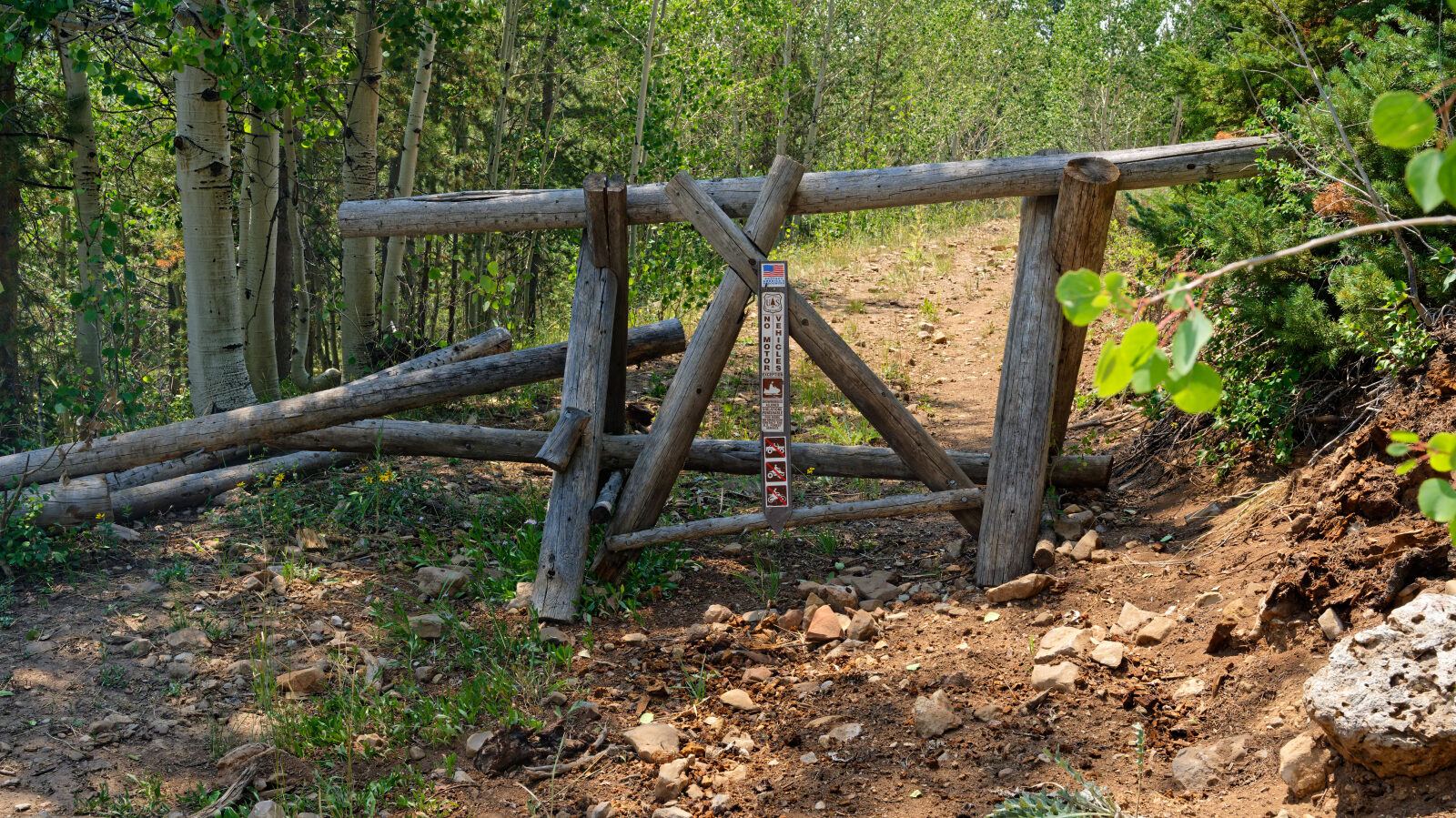 Waypoint 6