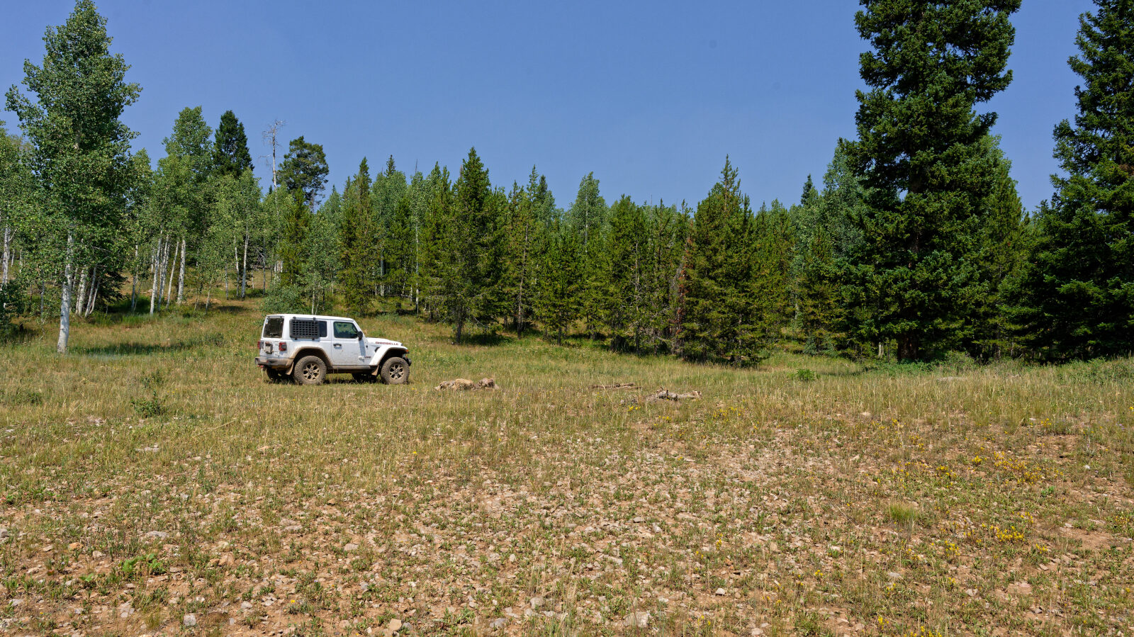 Waypoint 3