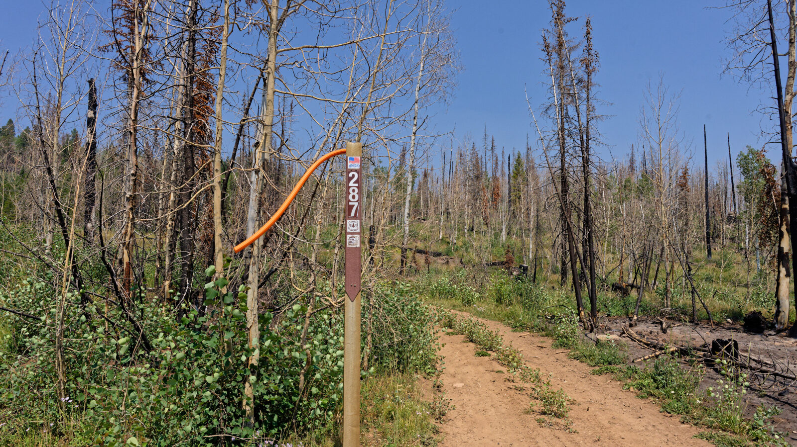 Waypoint 1