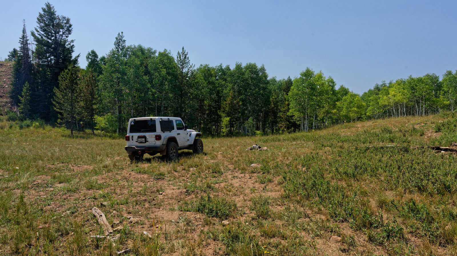 Waypoint 5