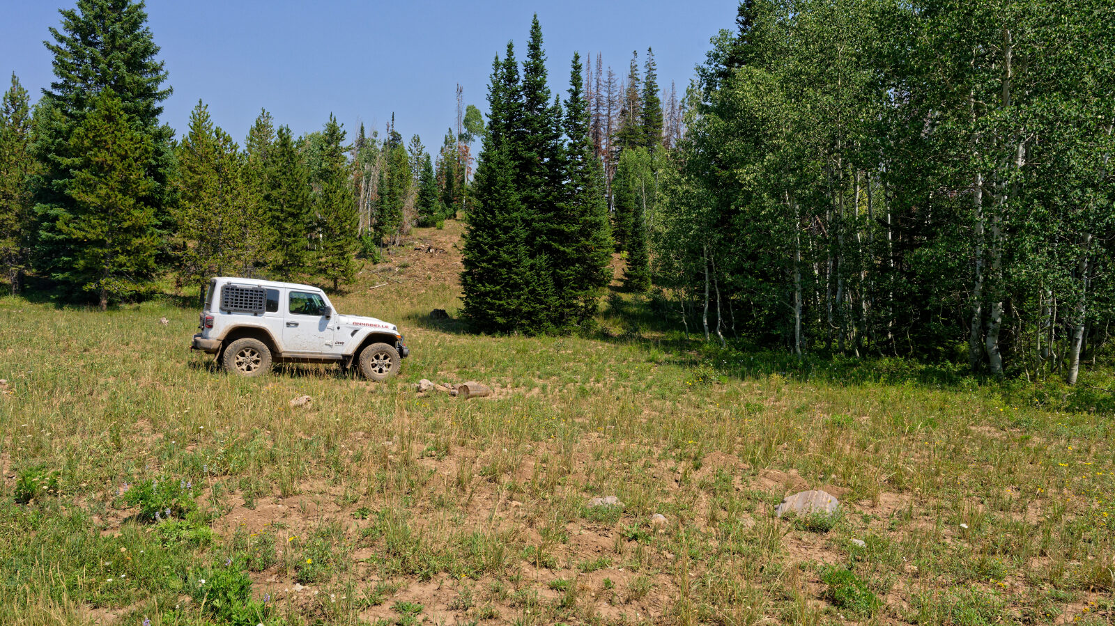 Waypoint 4
