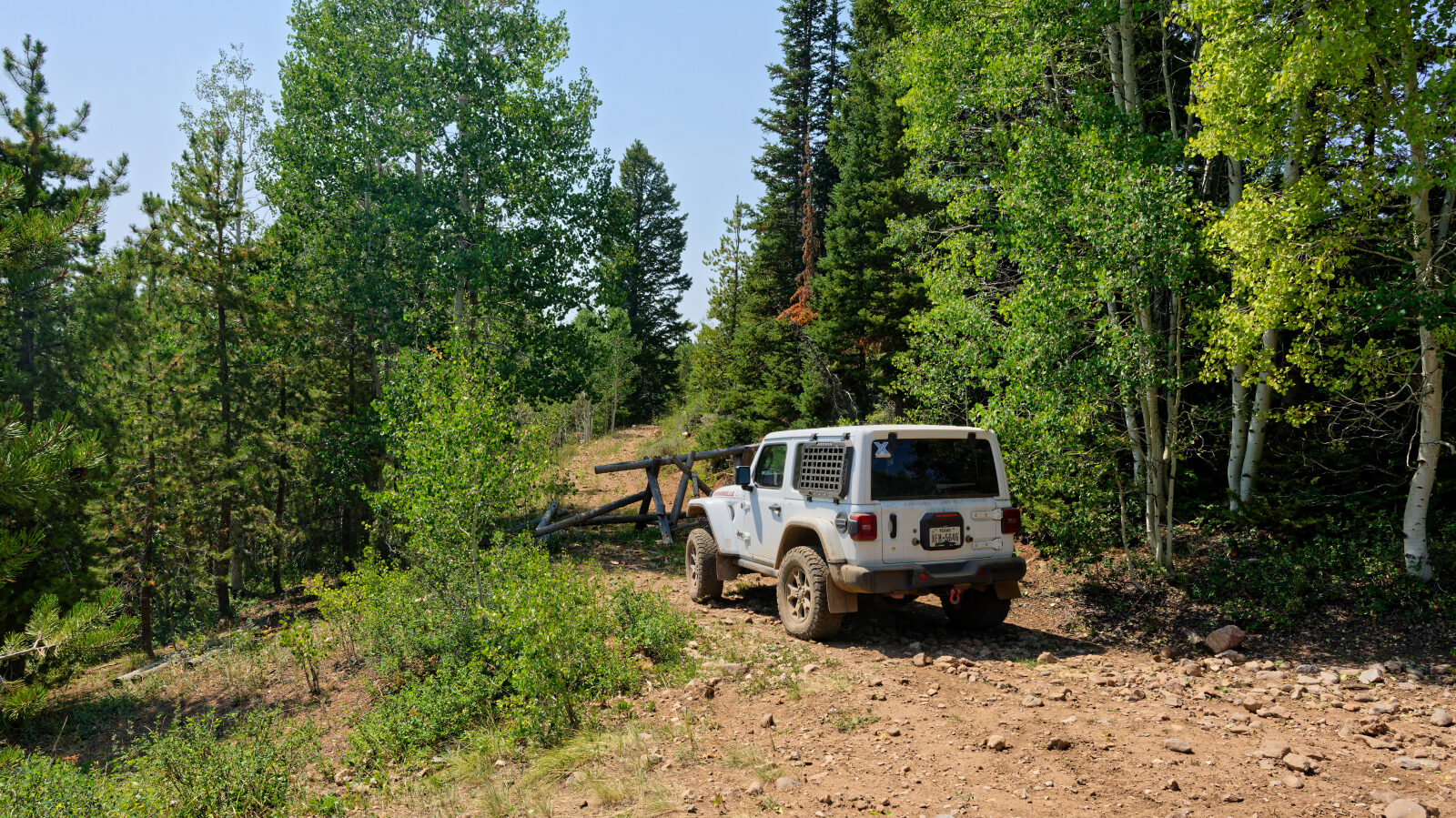 Waypoint 6