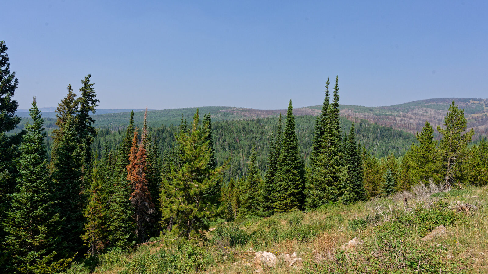 Waypoint 6