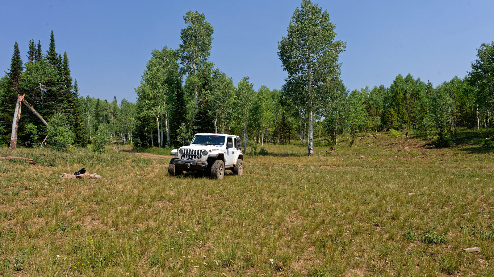 Waypoint 5