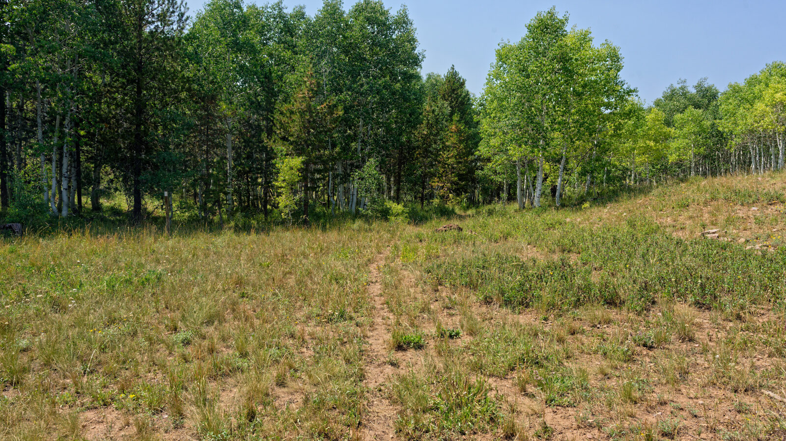 Waypoint 5
