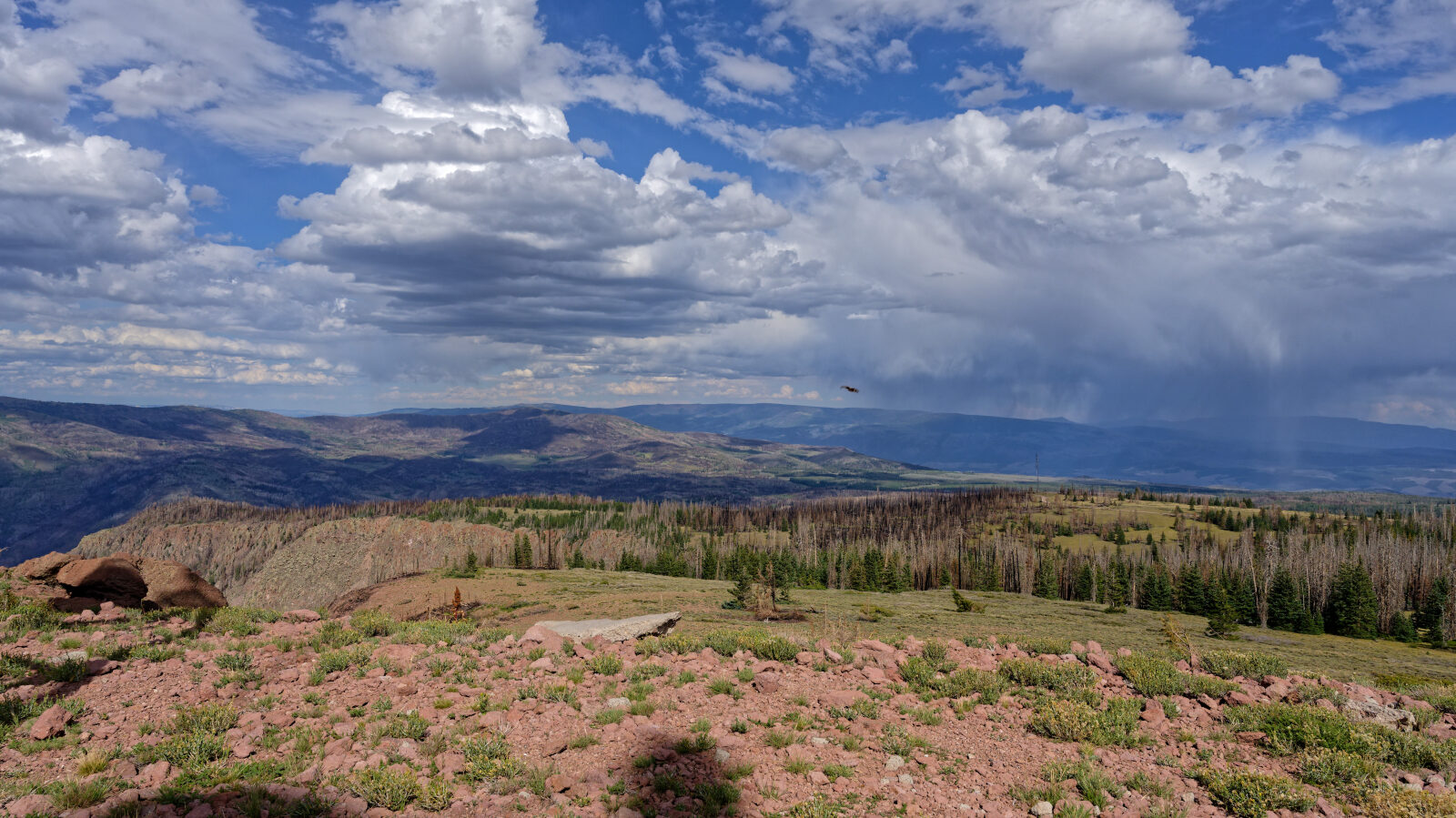 Waypoint 6