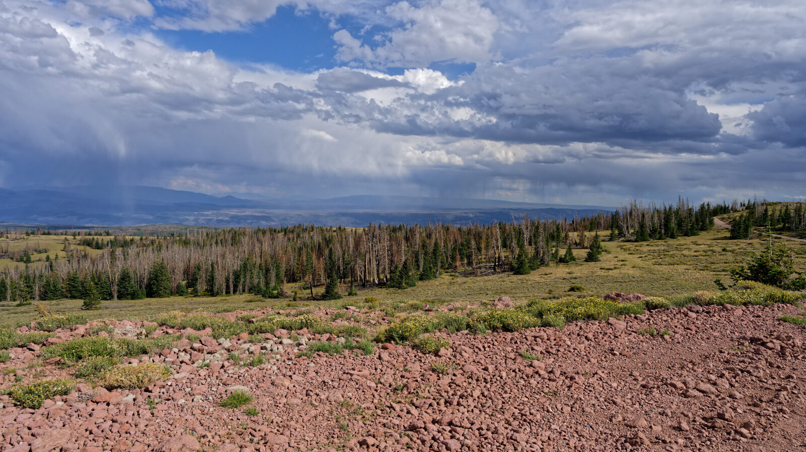 Waypoint 5