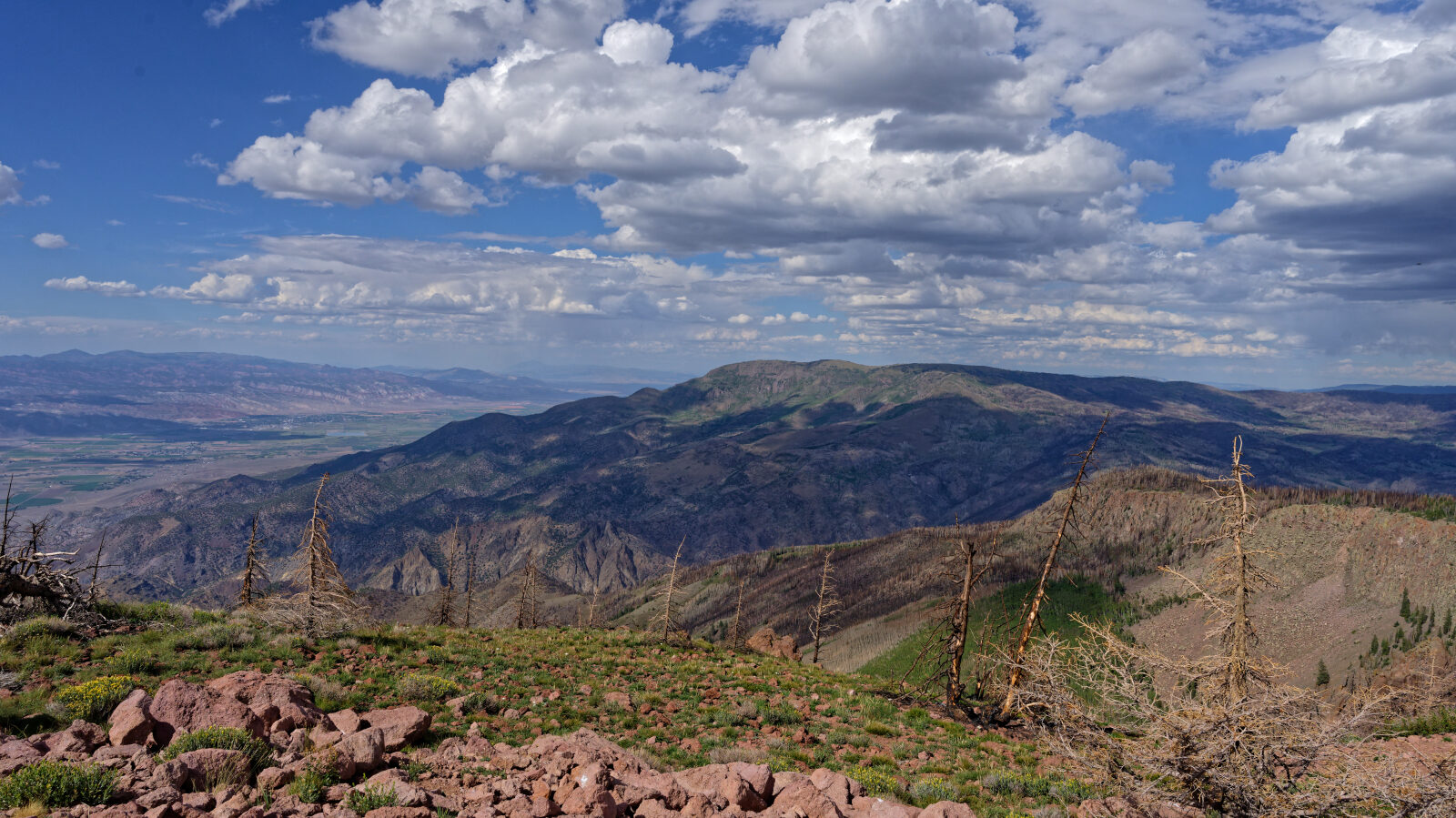 Waypoint 6