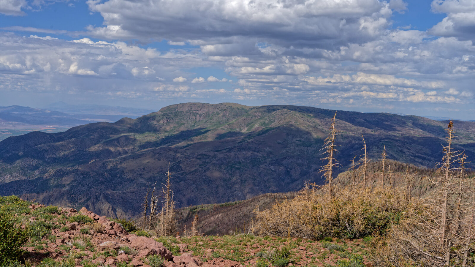 Waypoint 6