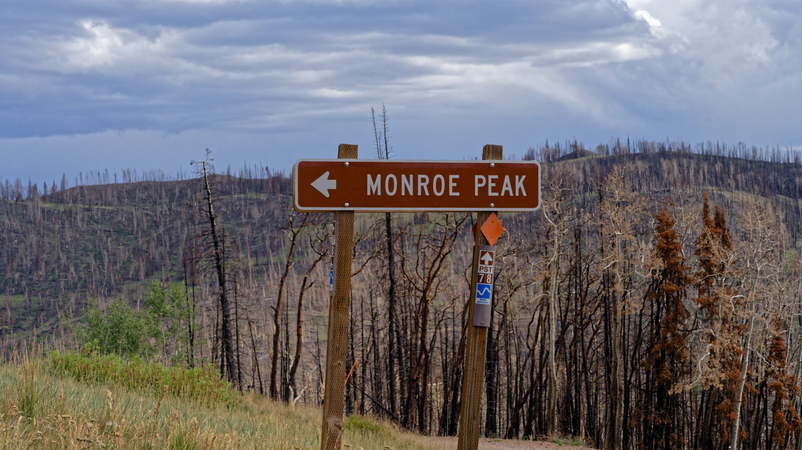 Start of Trail 165, Monroe Peak.