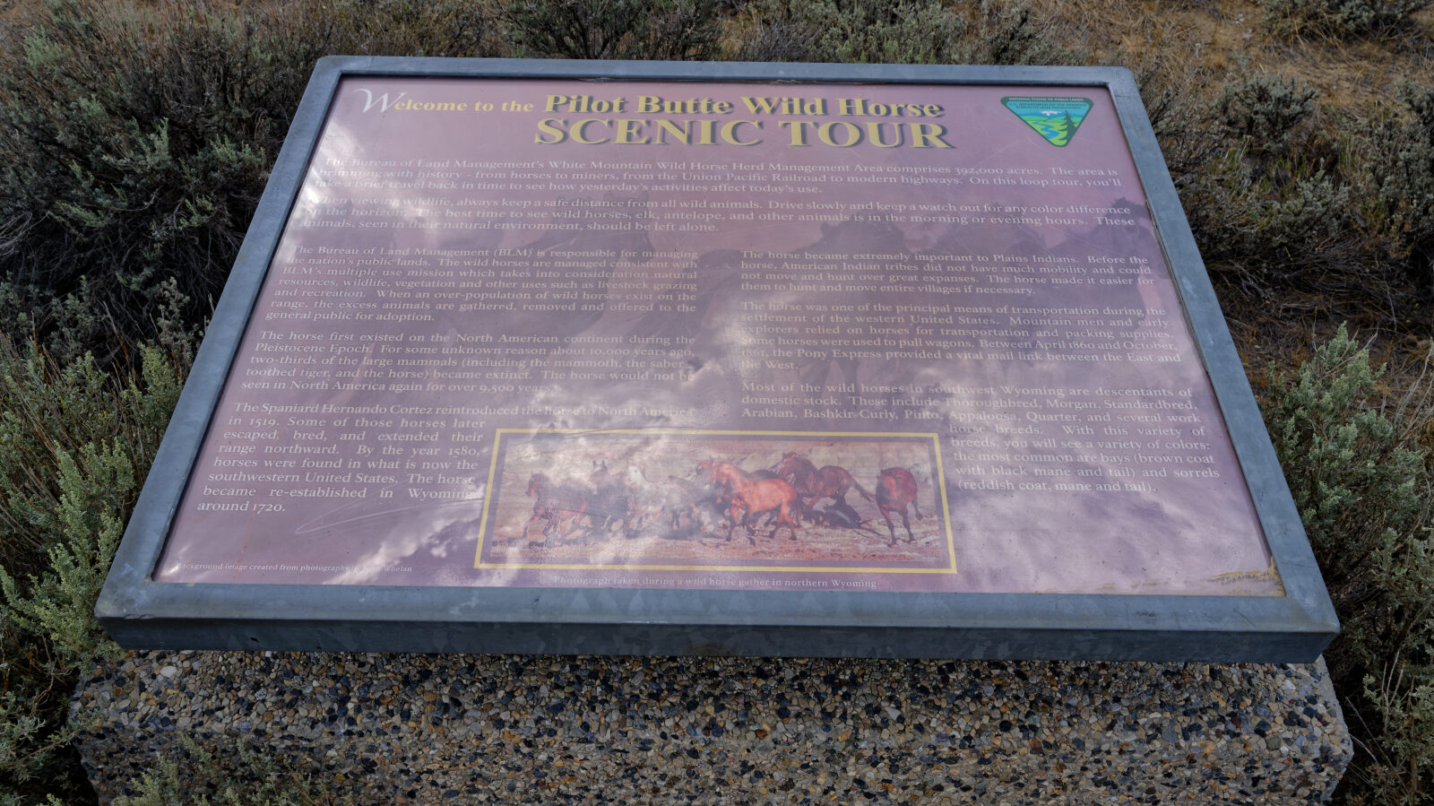 Waypoint 1