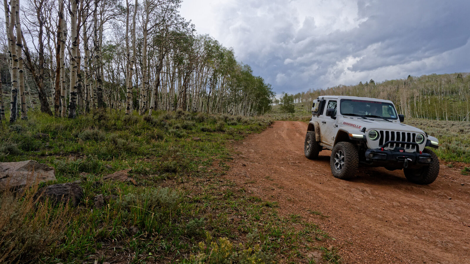 The view opens up over a valley with lots of open space. There are campers among the aspens.
