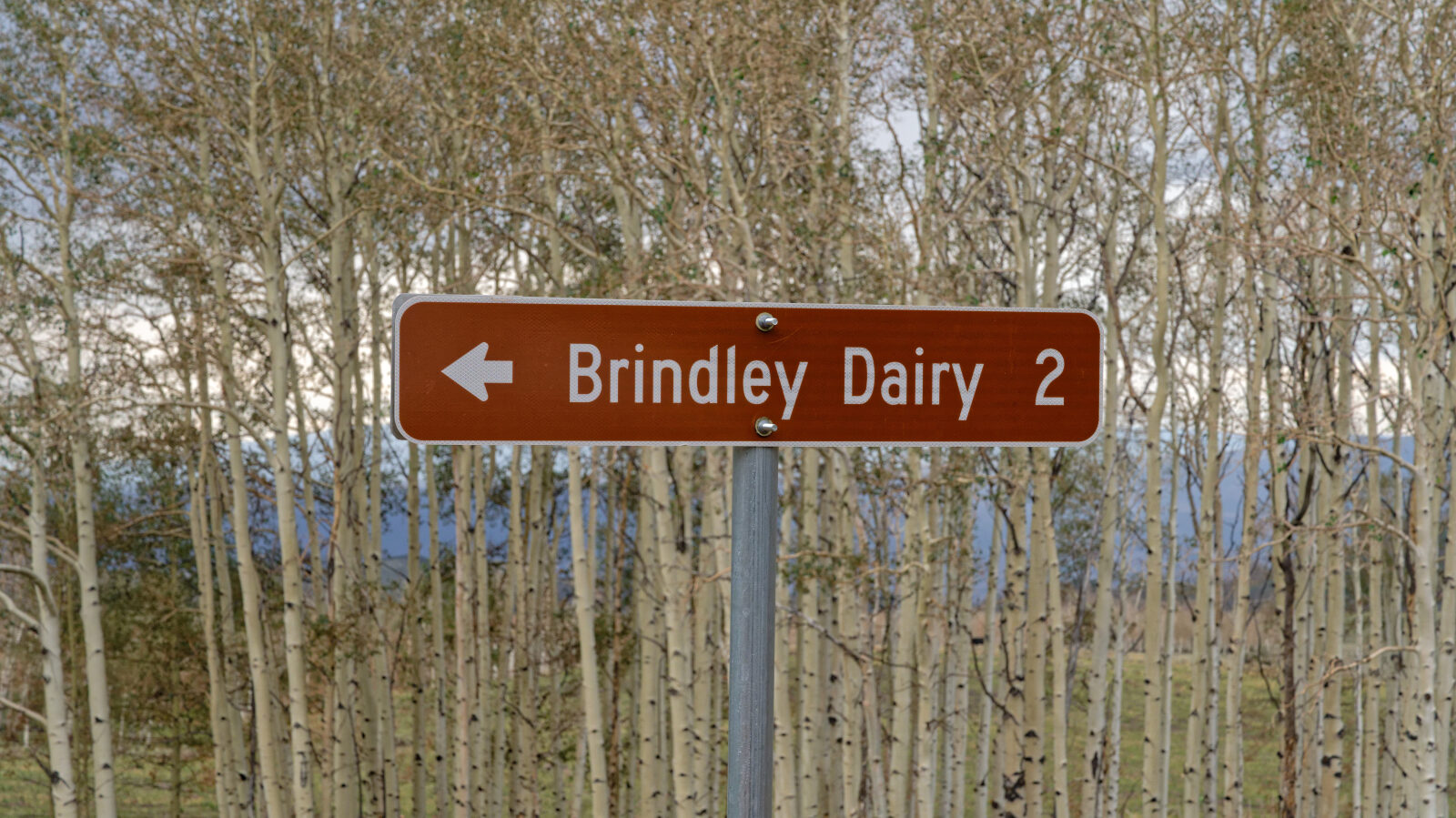 End of Brindley Dairy.