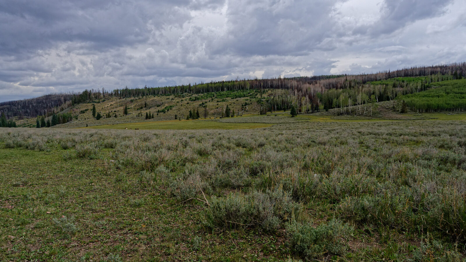 Waypoint 4